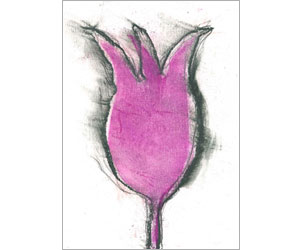 purple-tulip-annelies-viegers-organic-power