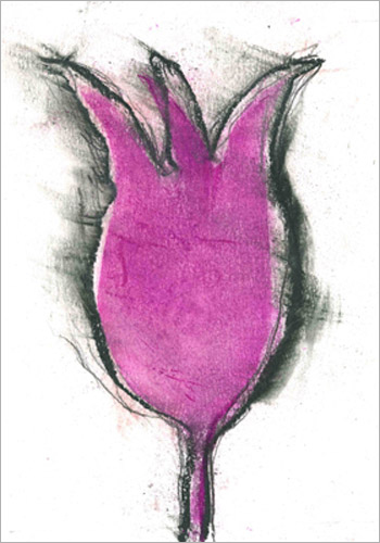 zoom-purple-tulip-annelies-viegers-organic-power1